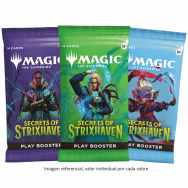 Mgic MTG: Secrets of...
