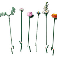 Lego Botanicals: Ramo de Flores Fantasía en Rosa (Pretty Pink Flower Bouquet)