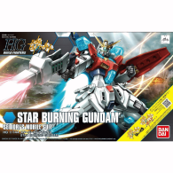 HGBF 058 Star Burning...